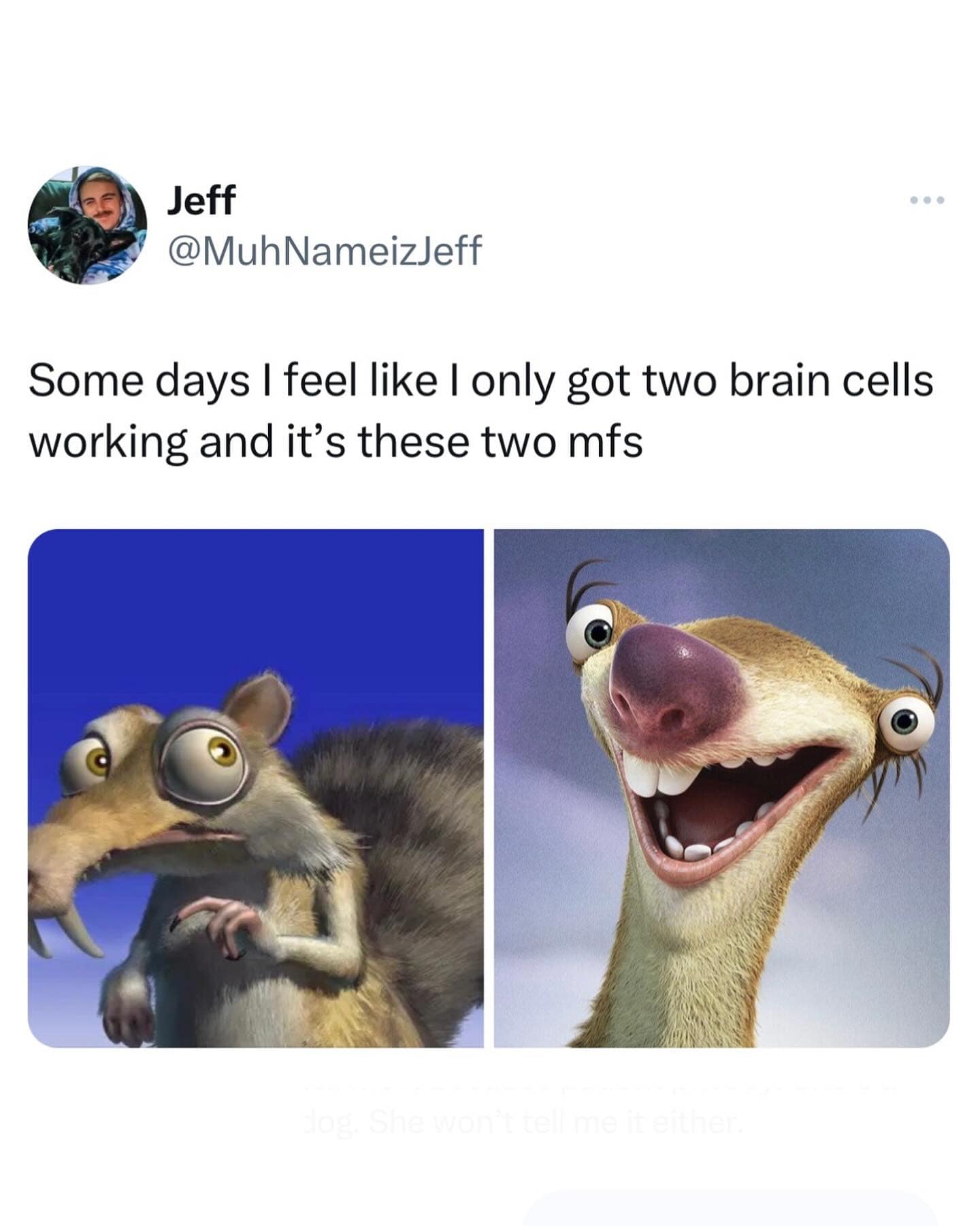 Some days I feel like I only got two brain cells working and it's these two