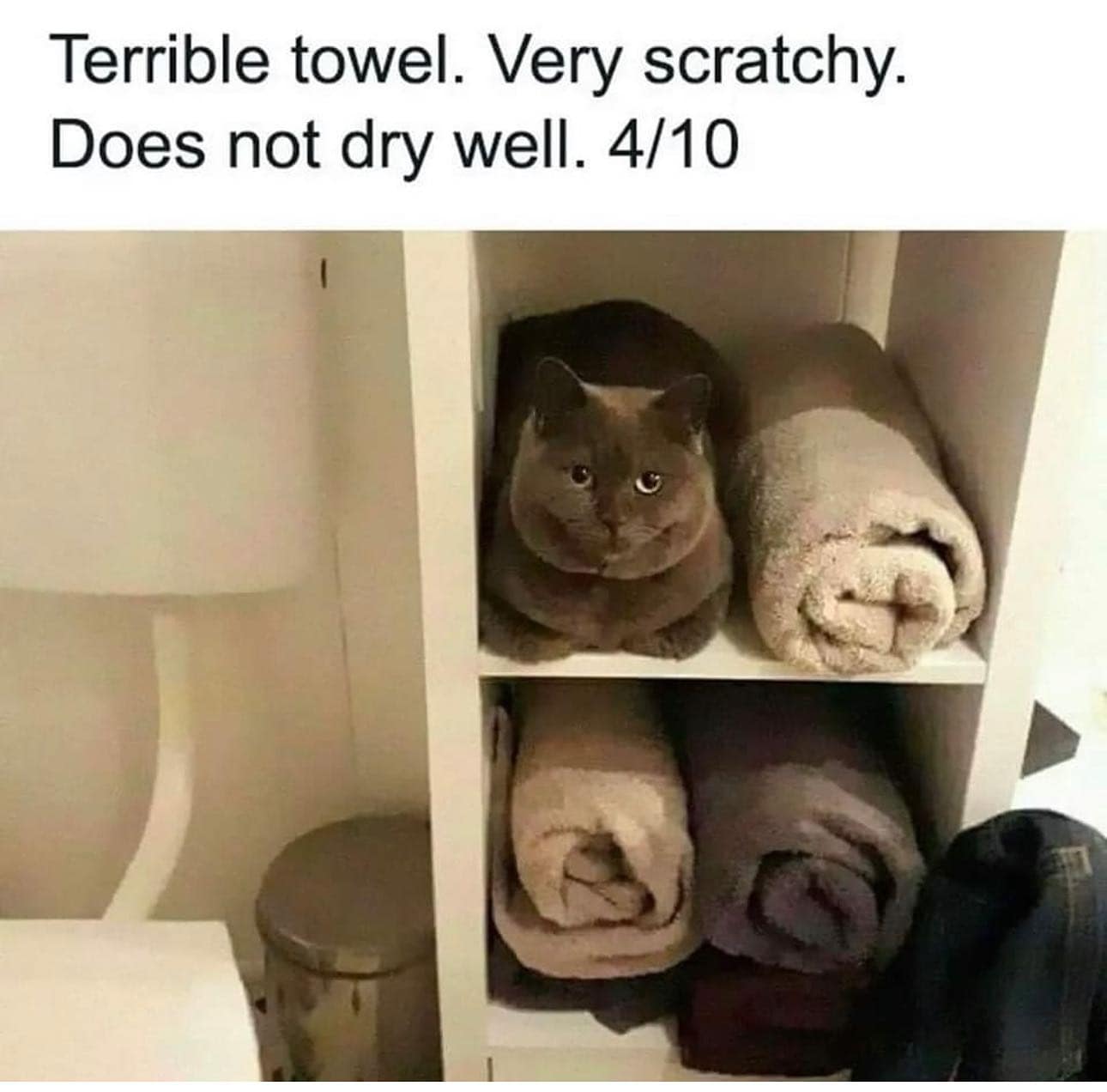 Terrible towel. Very scratchy. Does not dry well.