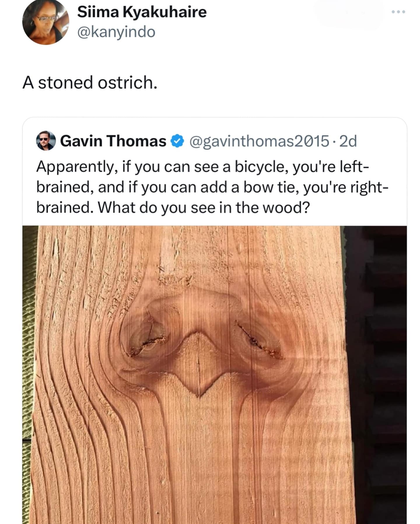 A stoned ostrich. Apparently, if you can see a bicycle, you're left-brained, and if you can add a bow tie, you're right-brained. What do you see in the wood?