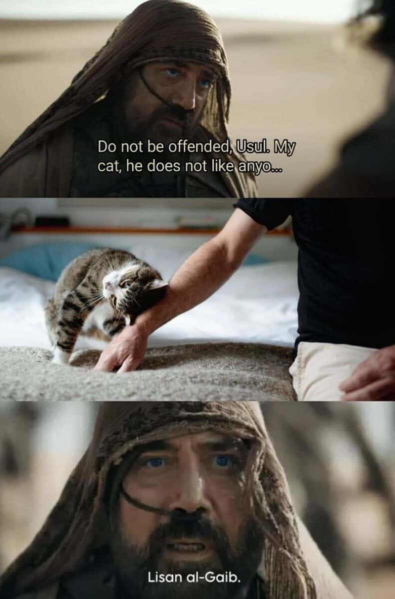 Do not be offended, Usul. My cat, he does not like anyO... Lisan al-Gaib.