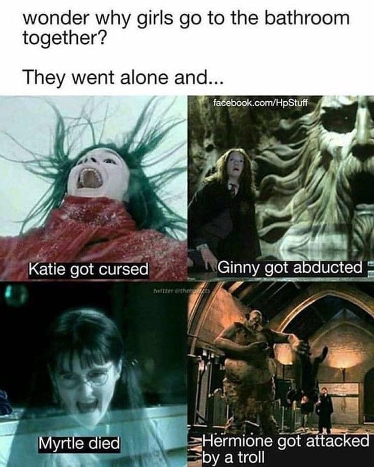 harry potter memes, wizarding world humor, magical memes, Hogwarts jokes, Potterverse memes, spellbinding humor, Dumbledore's laughter spells
