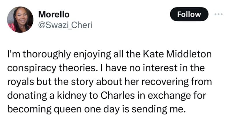 Kate middleton memes, kate middleton missing memes, royal gossip memes, Kate Middleton jokes, royal family memes, Duchess of Cambridge memes, meme royalty, regal humor