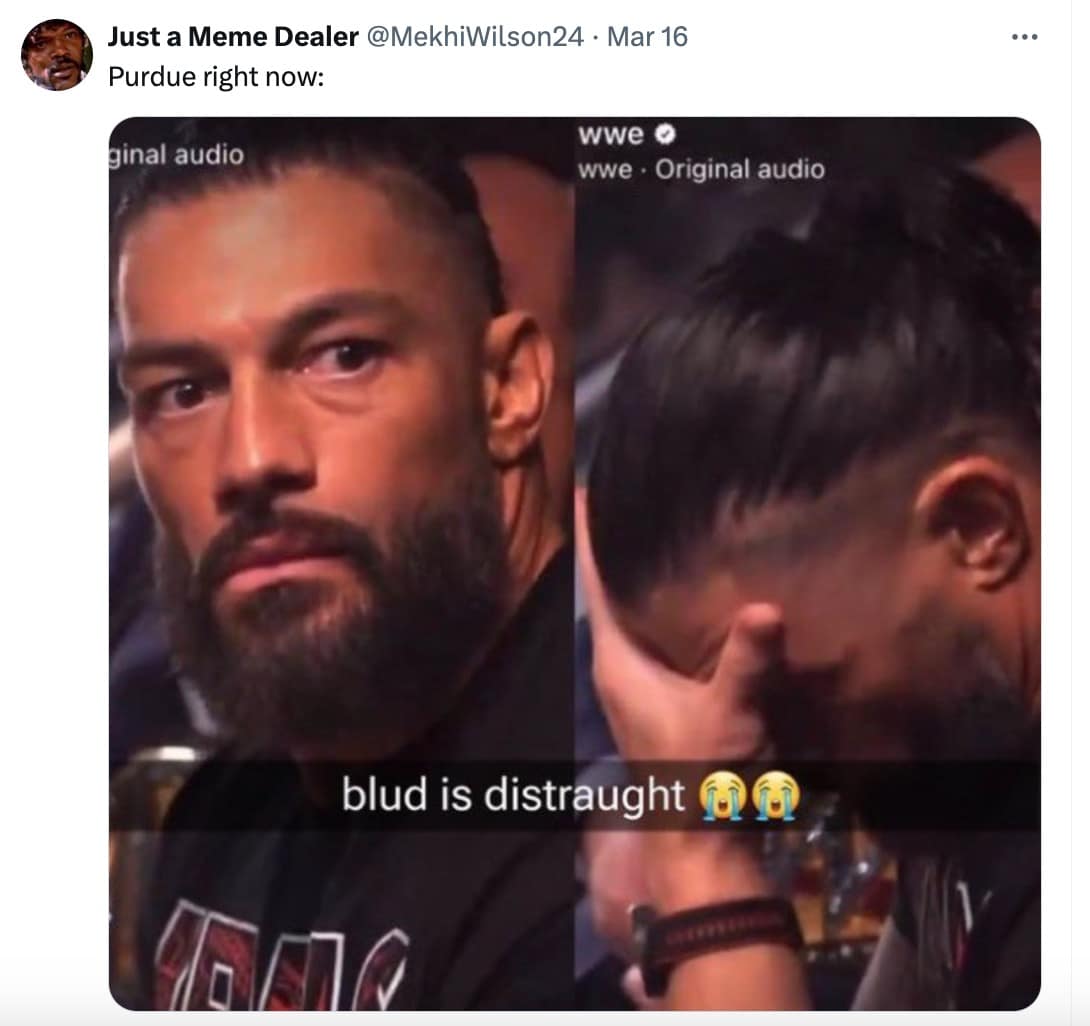 March madness 2024 memes, NCAA Tournament 2024 funny pictures, College Basketball 2024 hilarity, March Mayhem 2024 jokes, March Madness 2024, NCAA Tournament 2024, College Basketball 2024 playoffs, March Mayhem 2024, NCAA Basketball memes, College Basketball funny pictures, College Hoops jokes, March Madness memes