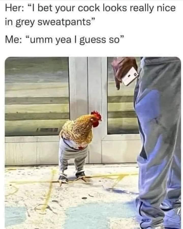 meme dump, hilarious memes, funny memes, best memes, fresh memes, aily memes, lunch break humor, internet hilarity, meme collection, humor compilation, laughter showcase