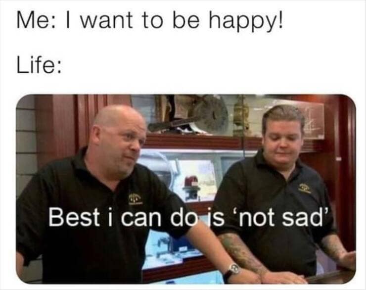 meme dump, hilarious memes, funny memes, best memes, fresh memes, aily memes, lunch break humor, internet hilarity, meme collection, humor compilation, laughter showcase