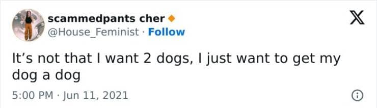 meme dump, hilarious memes, funny memes, best memes, fresh memes, aily memes, lunch break humor, internet hilarity, meme collection, humor compilation, laughter showcase