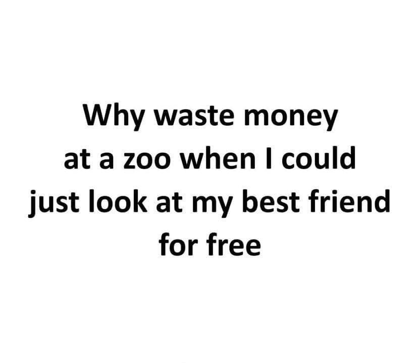 meme dump, hilarious memes, funny memes, best memes, daily memes, meme gallery, meme compilation