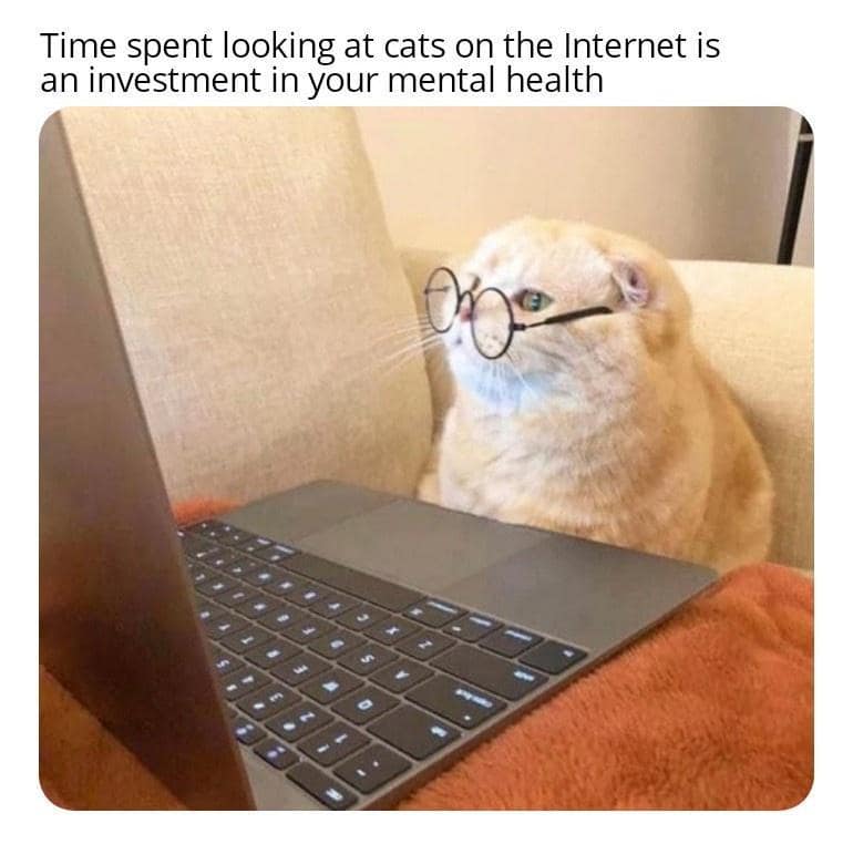 meme dump, hilarious memes, daily memes, funny memes, best memes, unch break memes, funny memes, fresh humor, meme bonanza, laughter buffet, comedy dump