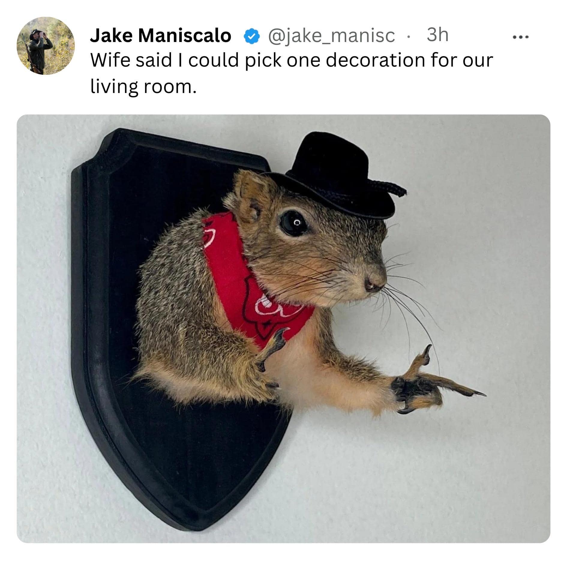 meme dump, hilarious memes, daily memes, funny memes, best memes, unch break memes, funny memes, fresh humor, meme bonanza, laughter buffet, comedy dump