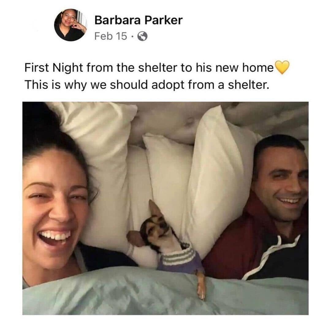 meme dump, hilarious memes, daily memes, funny memes, best memes, unch break memes, funny memes, fresh humor, meme bonanza, laughter buffet, comedy dump