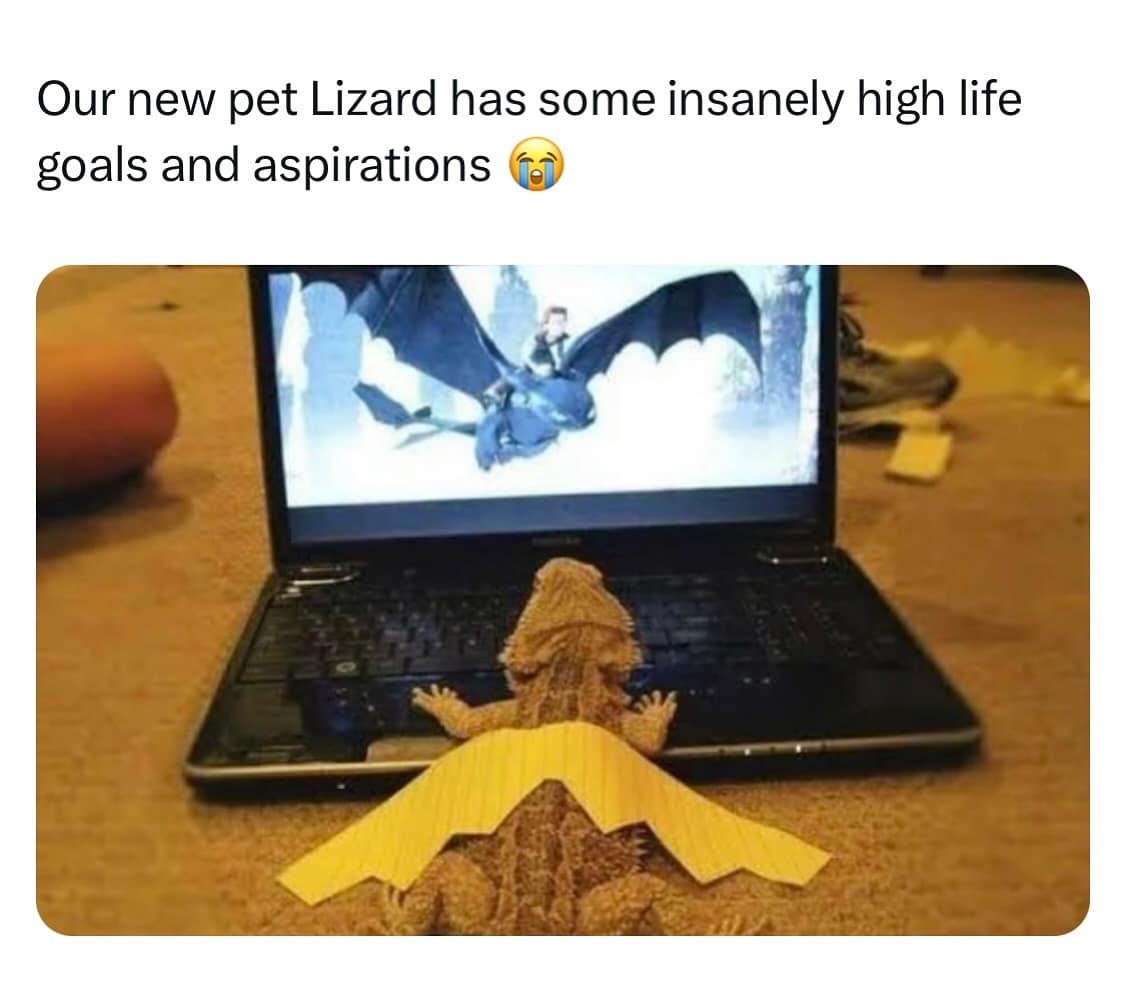 meme dump, hilarious memes, daily memes, funny memes, best memes, unch break memes, funny memes, fresh humor, meme bonanza, laughter buffet, comedy dump