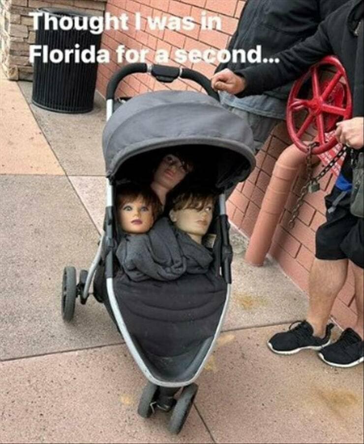 meme dump, hilarious memes, funny memes, meme collection, humor gallery, laugh fest, best memes