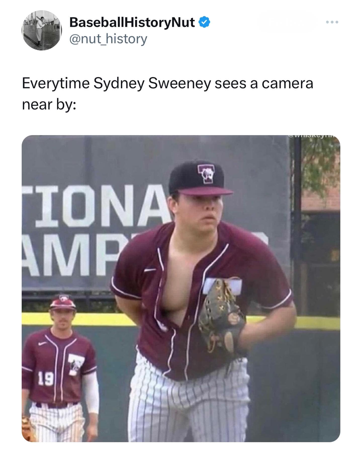 meme dump, hilarious memes, best memes, funny memes, daily memes, lunch break humor, daily memes, internet laughter, meme feast, comedic buffet, laughter bonanza