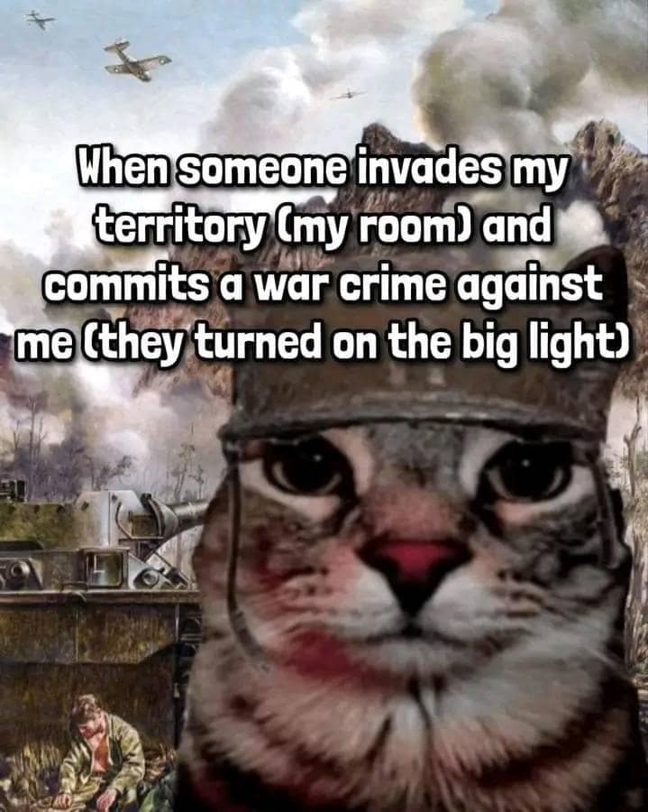 meme dump, hilarious memes, funny memes, internet humor, comedic tweets, best memes