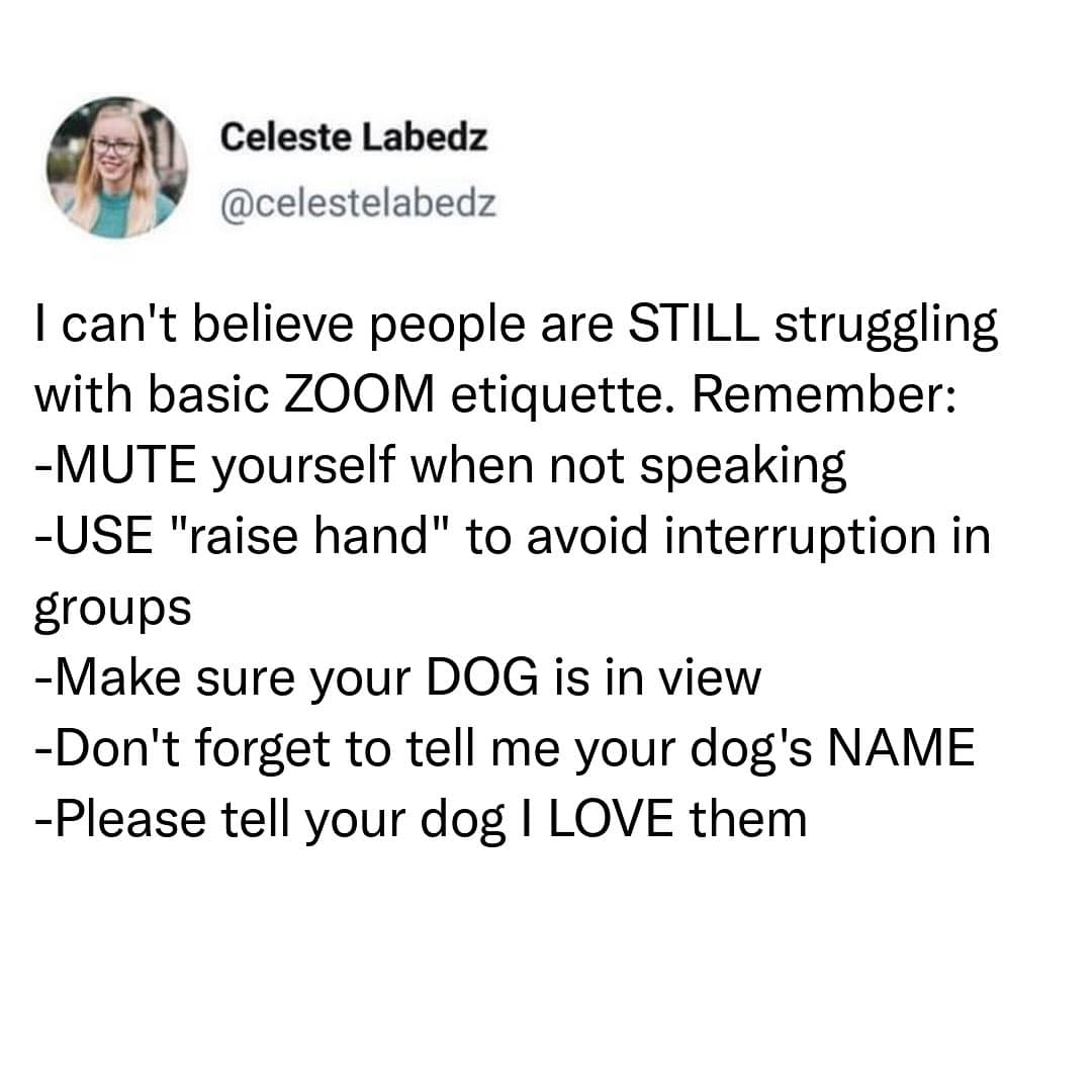 meme dump, hilarious memes, funny memes, Sunday humor, laughter therapy, hilarious meme collection, laugh-out-loud memes,