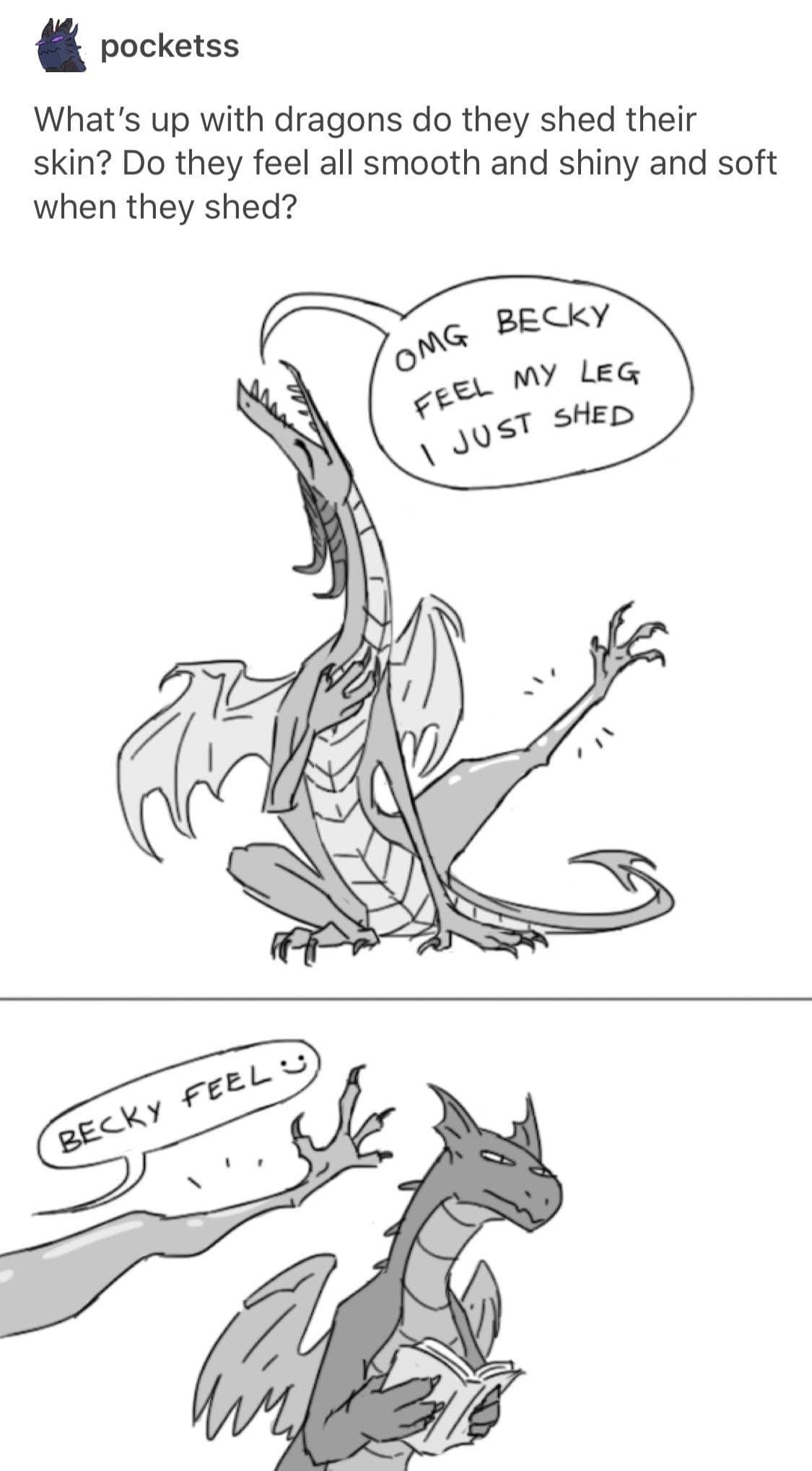 meme dump, hilarious memes, funny memes, laughter-inducing memes, amusing memes, comical memes, uproarious memes