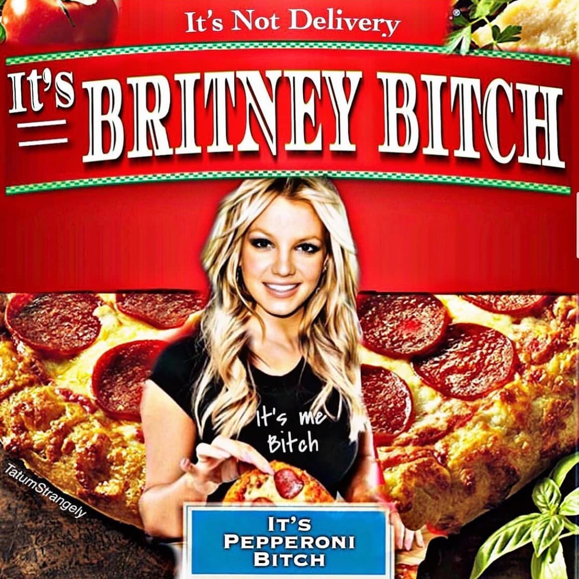 meme dump, hilarious memes, funny memes, best memes, funny pictures, meme collection, comedy compilation, laughter roundup