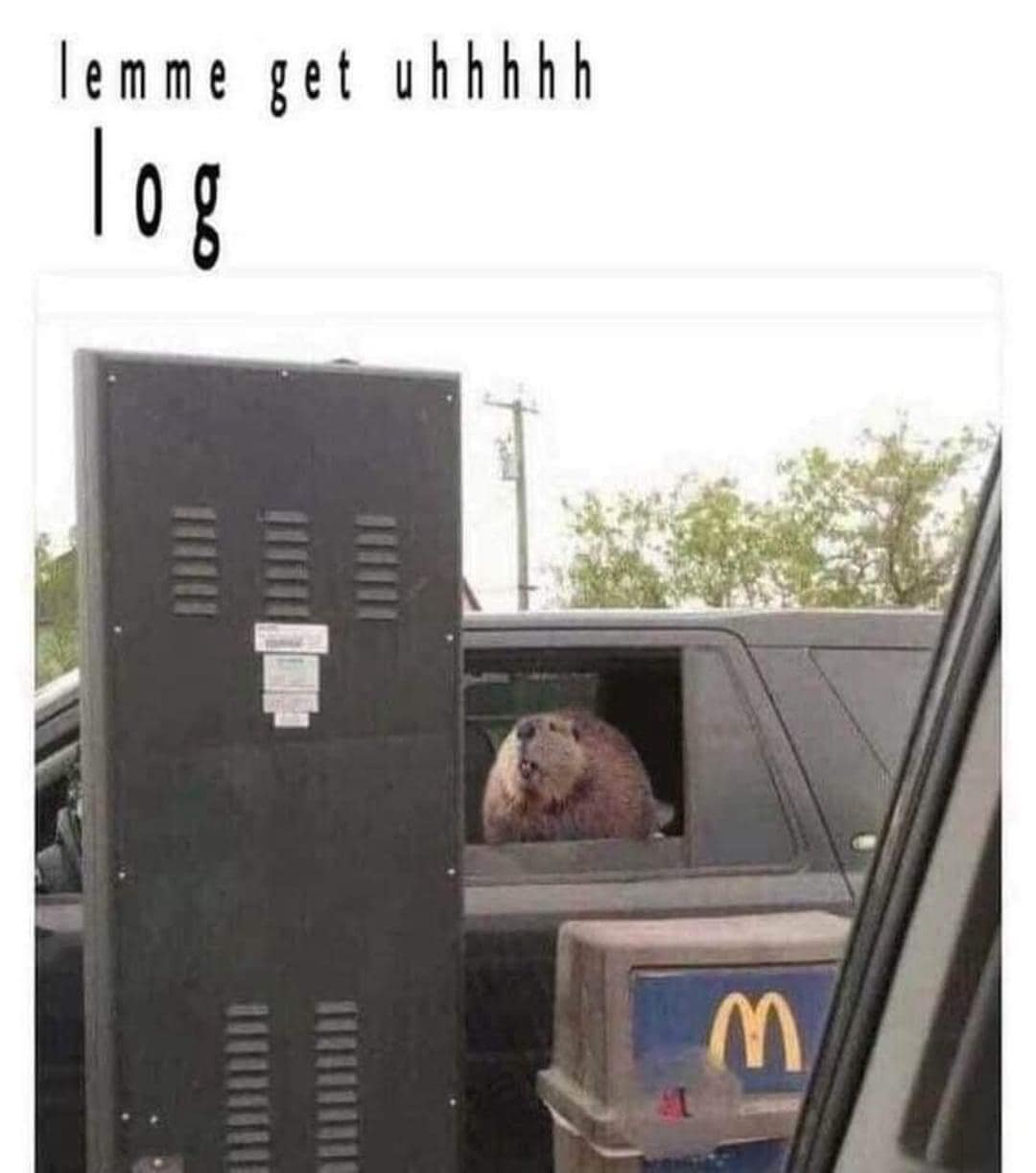 meme dump, hilarious memes, funny memes, laughter-inducing memes, amusing memes, comical memes, uproarious memes