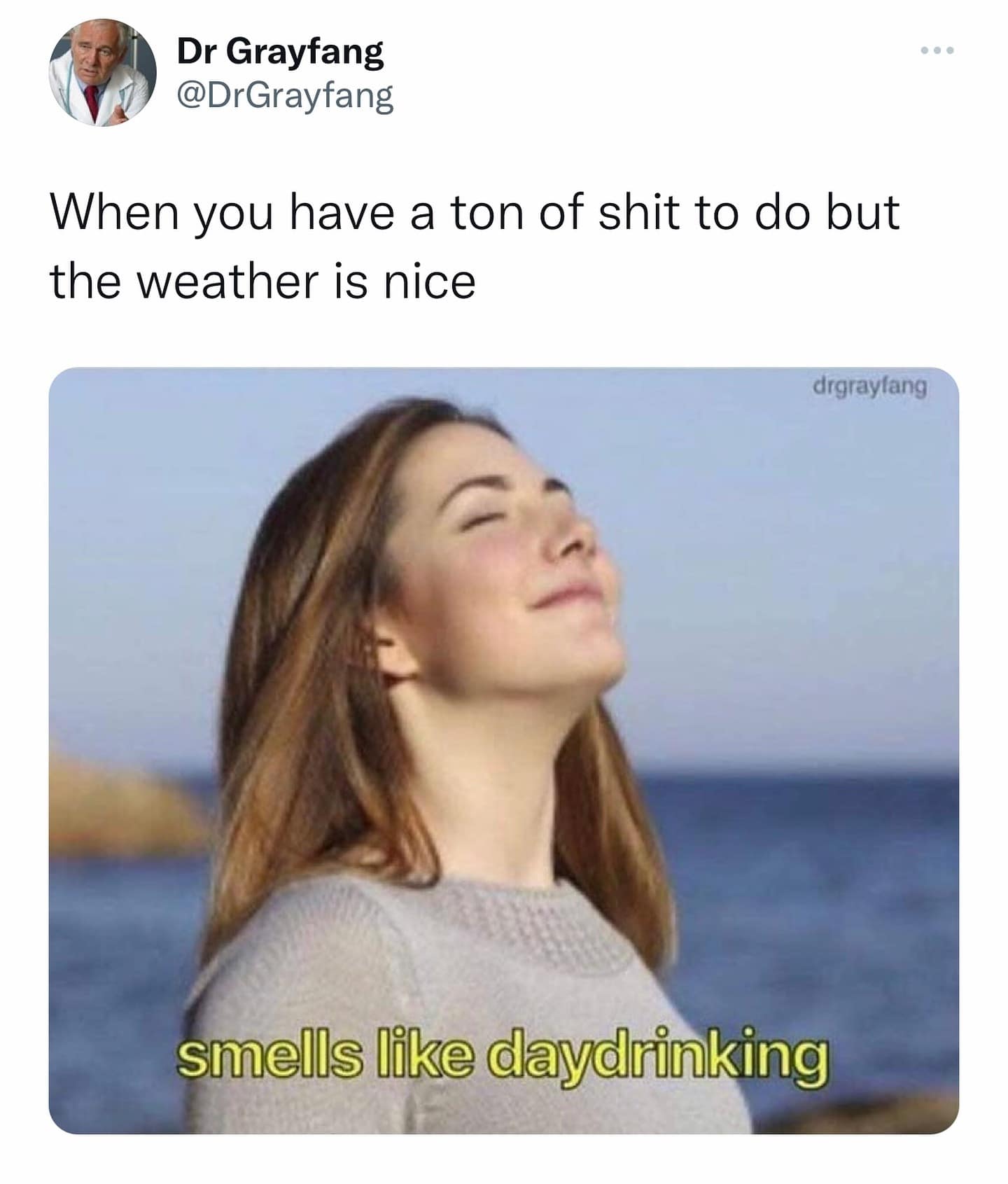 meme dump, hilarious memes, best memes, daily memes, Lunch Break Humor, Funny Images, Internet Comedy, funny memes, Meme Collection, Humorous Picture Compilation, Laughable Image Assortment