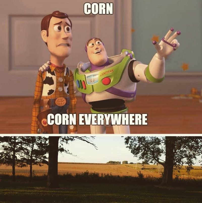 CORN JOHTYEAR CORN EVERYWHERE