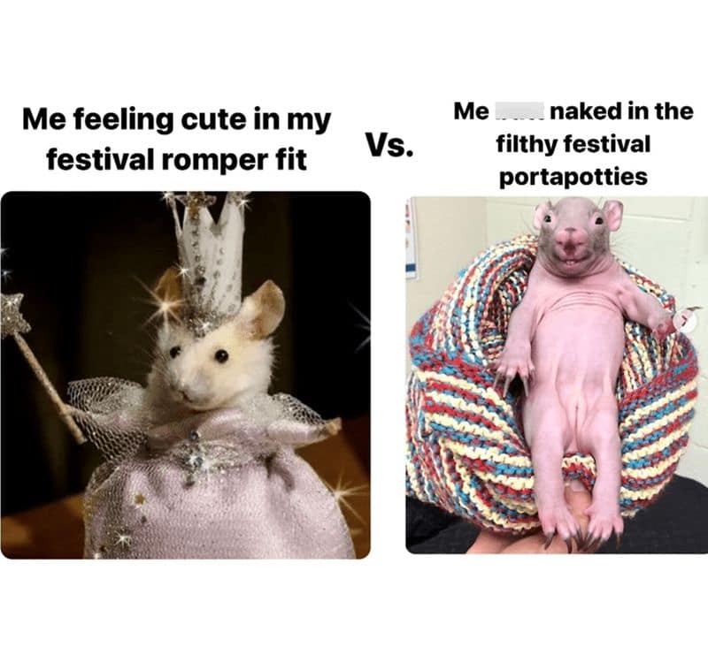 Me feeling cute in my festival romper fit Vs. Me naked in the filthy festival portapotties