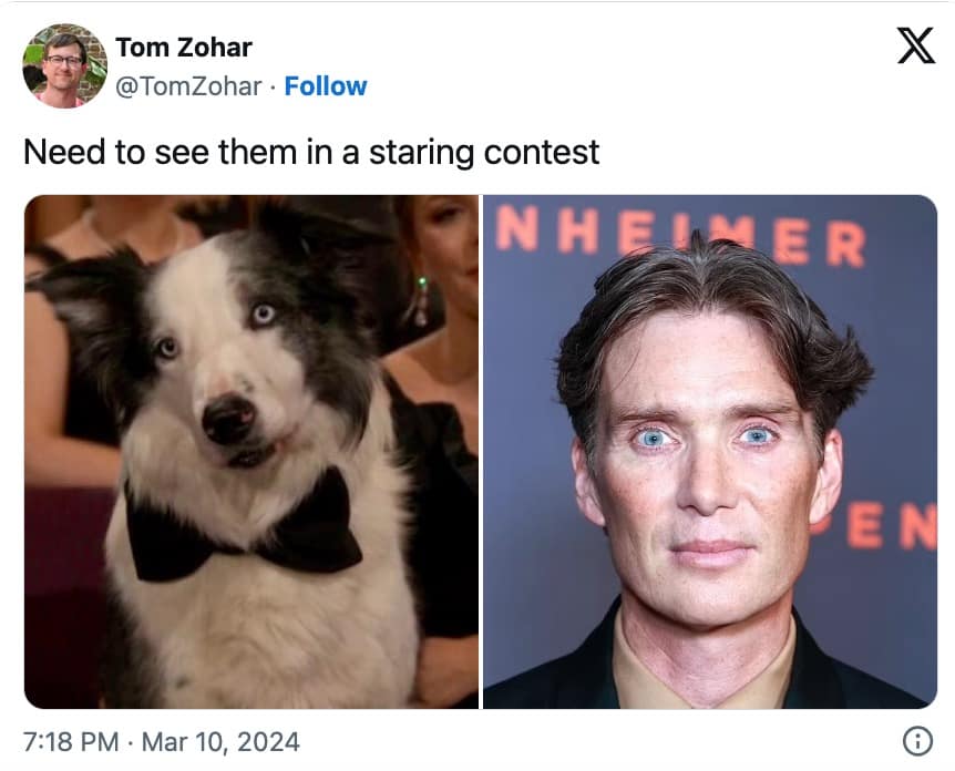 oscars 2024 memes, 2024 oscars memes, oscars memes, oscars 2024, 2024 oscars, acadamy awards memes, academy awards 2024 memes, academy awards memes 2024