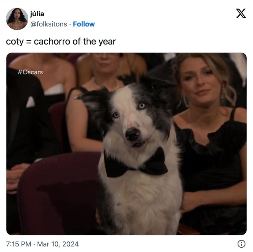 oscars 2024 memes, 2024 oscars memes, oscars memes, oscars 2024, 2024 oscars, acadamy awards memes, academy awards 2024 memes, academy awards memes 2024