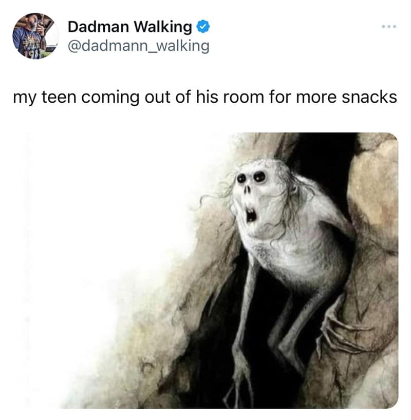 parenting memes, funny parenting tweets, comedic family quips, chuckle-inducing mommy memes, hilarious dad jokes