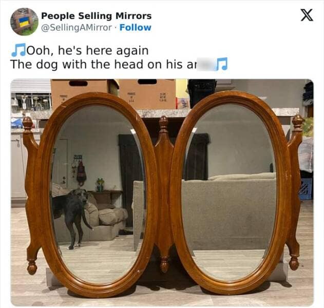 people selling mirrors, mirror sale fails, Online Sales Absurdities, Reflection Photography, Reflective Merchandise Listings, Mirror Market Mishaps,