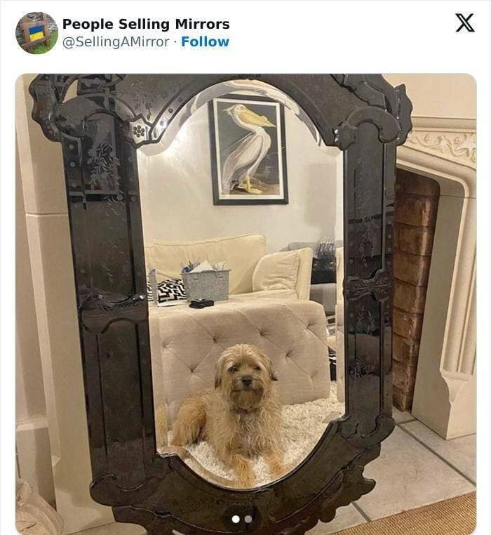 people selling mirrors, mirror sale fails, Online Sales Absurdities, Reflection Photography, Reflective Merchandise Listings, Mirror Market Mishaps,