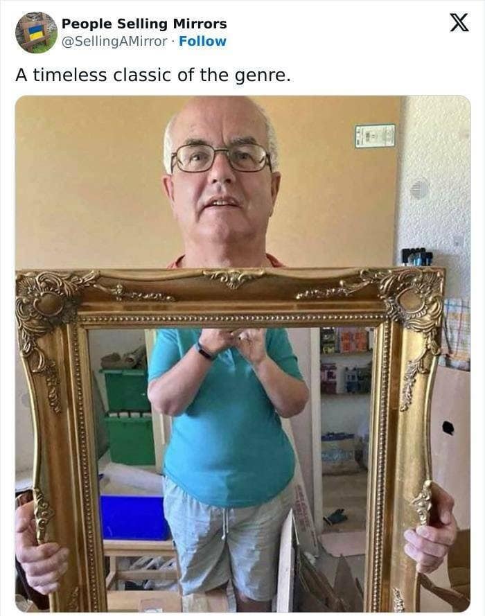 people selling mirrors, mirror sale fails, Online Sales Absurdities, Reflection Photography, Reflective Merchandise Listings, Mirror Market Mishaps,