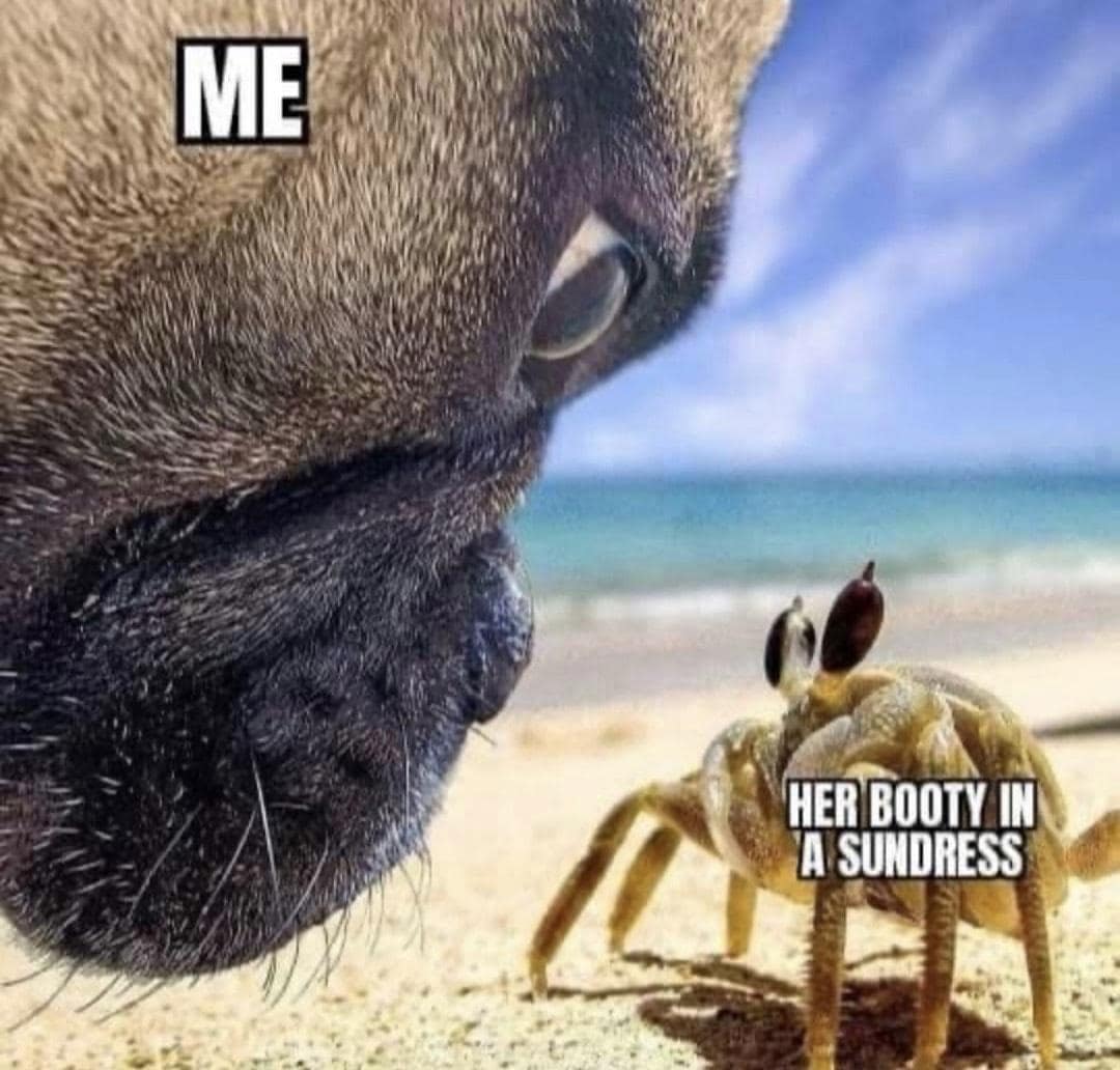 relatable memes, relatable humor, everyday struggles humor, universal experiences jokes, life's little moments laughter, common life experiences memes, shared realities jokes