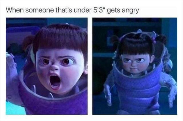 relatable memes, hared experiences, collective nods, human connection, universal humor, everyday moments, meme camaraderie