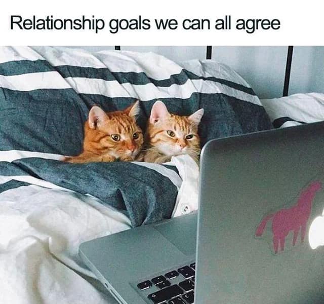 relationship memes, love memes, couples humor, romantic laughter, partnership memes, dating humor, affectionate jokes