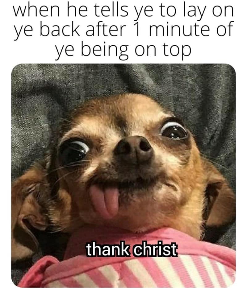 sexy memes, dirty memes, flirty memes, spicy memes, eductive memes, provocative memes, sensual memes, naughty memes