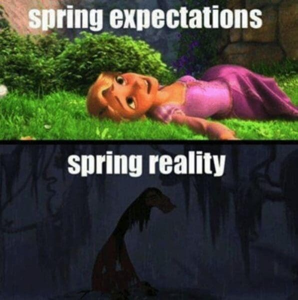 43 Spring Memes to Cure Your Winter Woes (Maybe Not Your Allergies)