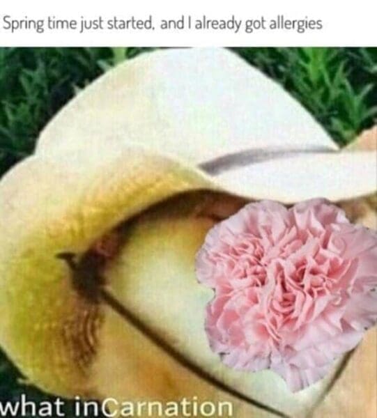 43 Spring Memes to Cure Your Winter Woes (Maybe Not Your Allergies)