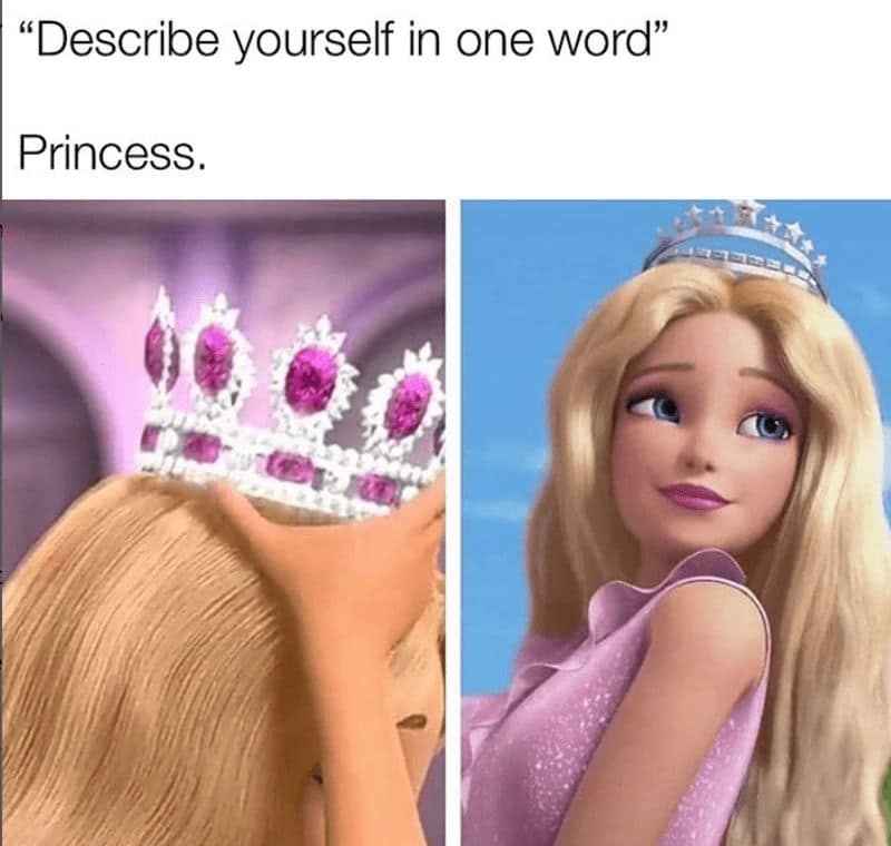 "Describe yourself in one word" Princess.