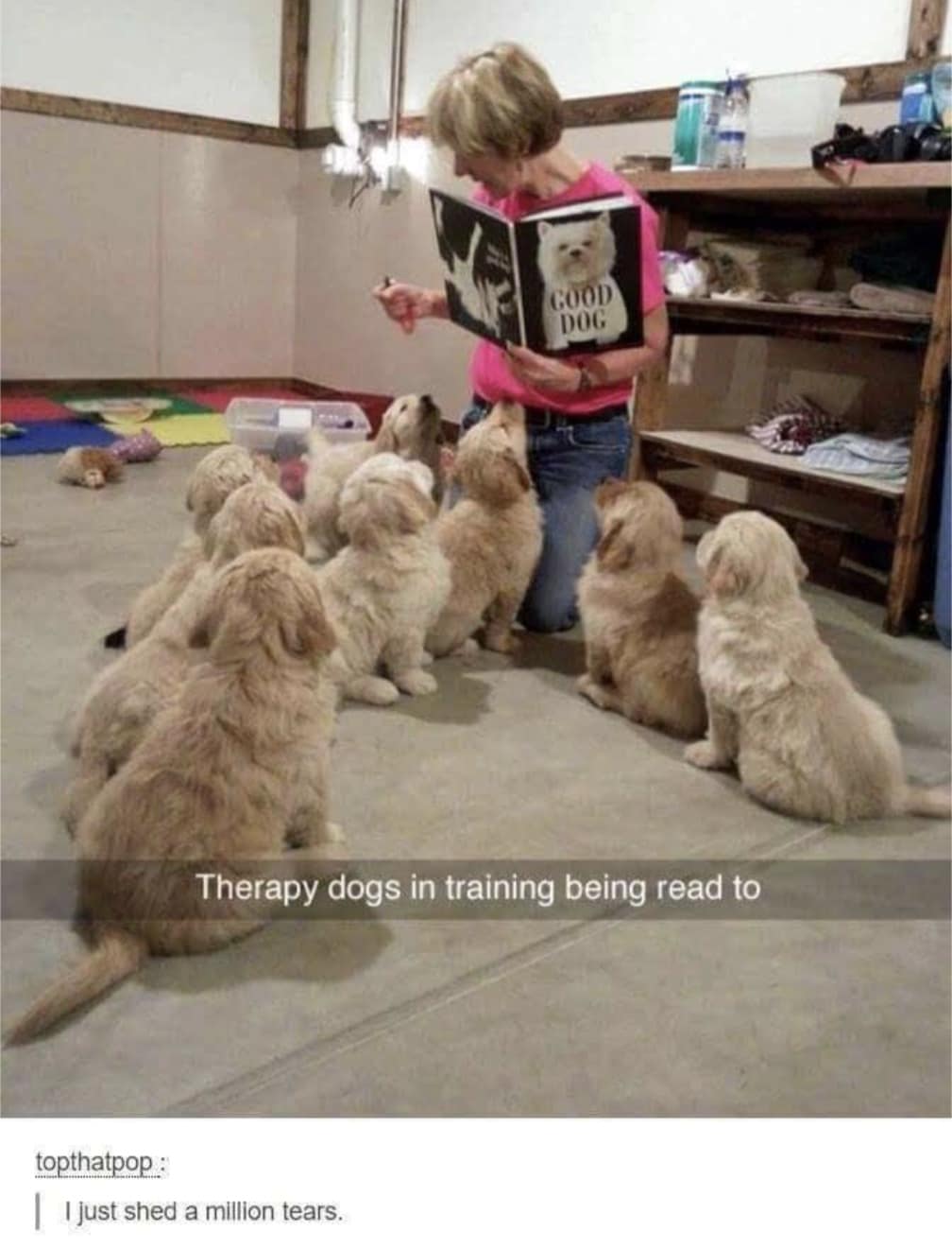 therapy memes, therapist memes