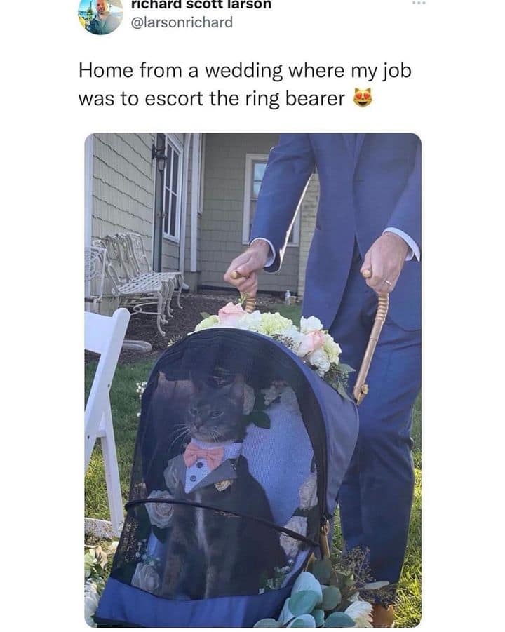 Home from a wedding where my job was to escort the ring bearer