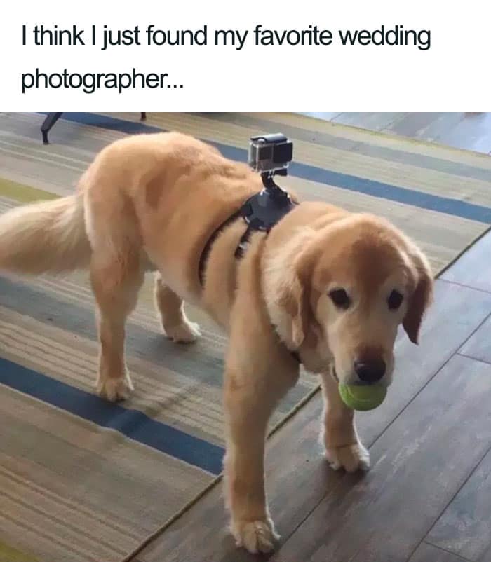 I think I just found my favorite wedding photographer...