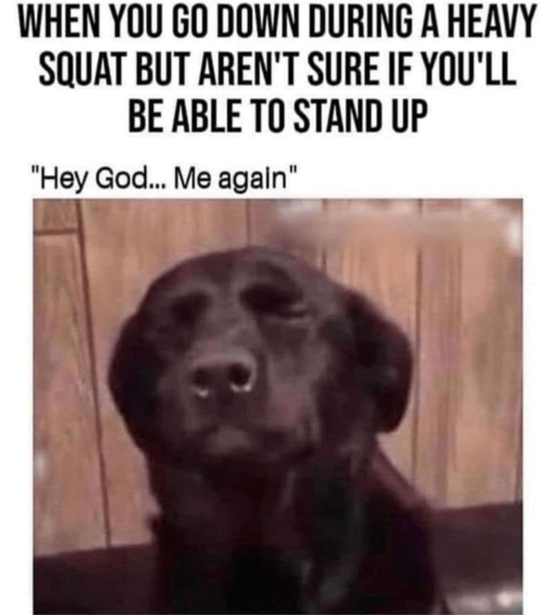 workout memes, exercise memes, diet memes, fitness humor, gym jokes, exercise laughter, gym memes, fitness funnies, workout humor