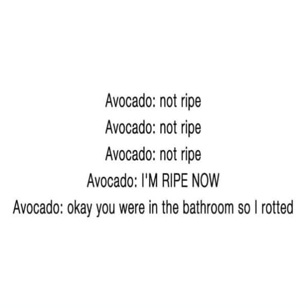 Avocado Memes: 35 Memes You Can Spread on Pricey Toast