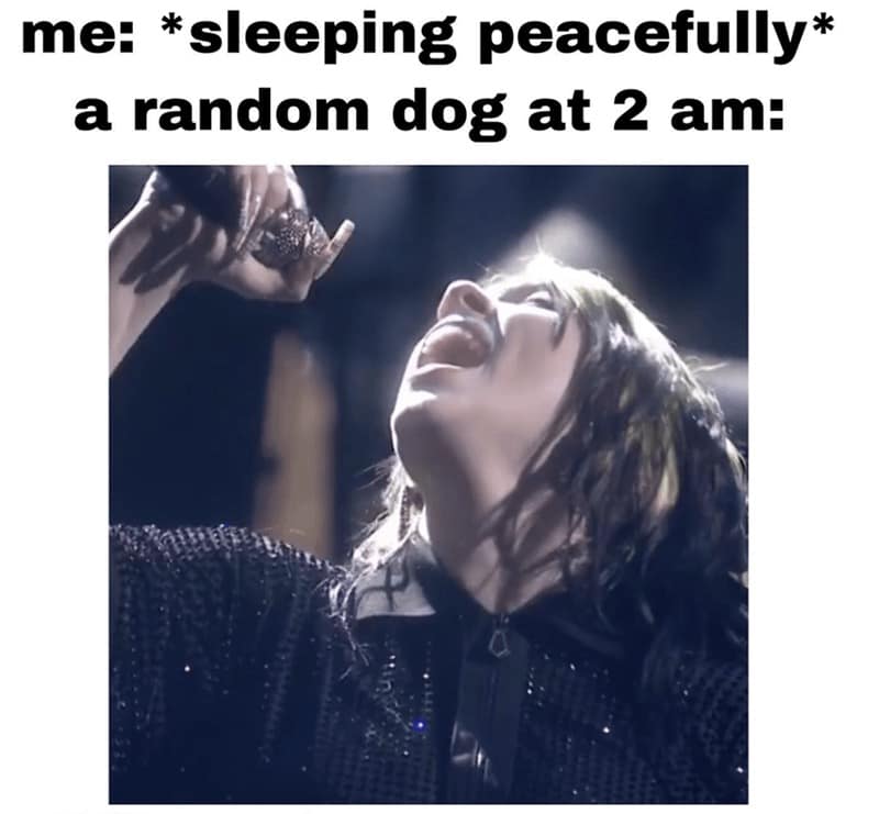 billie eilish memes, Billie eilish mirror memes, Billie Eilish masturbation, Billie Eilish funny memes, Billie Eilish jokes, Billie Eilish humor