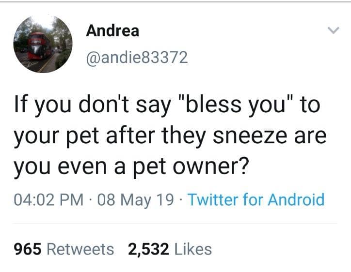 classic memes, vintage memes, viral tweets, best memes, trending tweets, old memes, Viral content, internet trends, online phenomena, Funny tweets, humorous tweets, hilarious Twitter posts, Meme history, internet meme evolution, history of memes