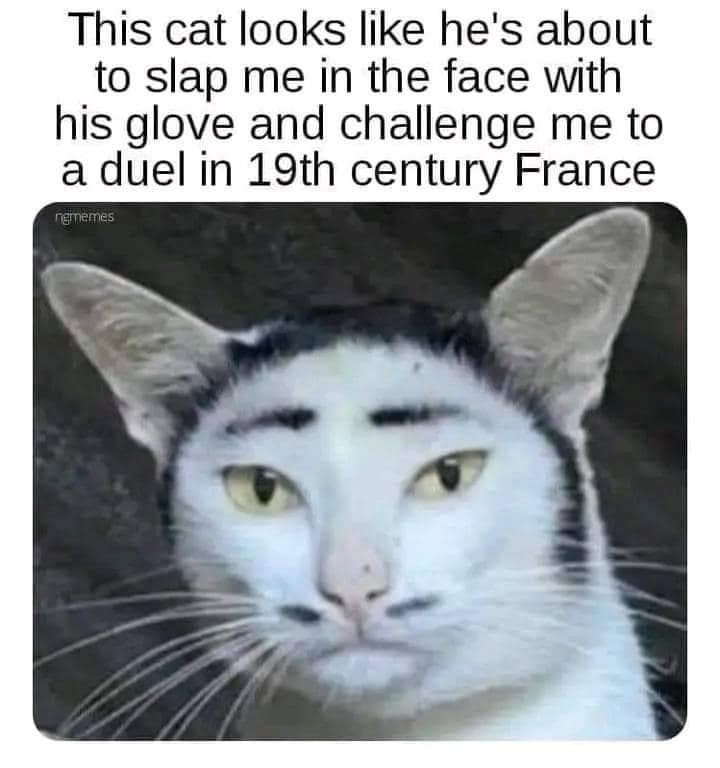 classic memes, vintage memes, viral tweets, old memes, trending tweets, best tweets, best memes, OG internet humor