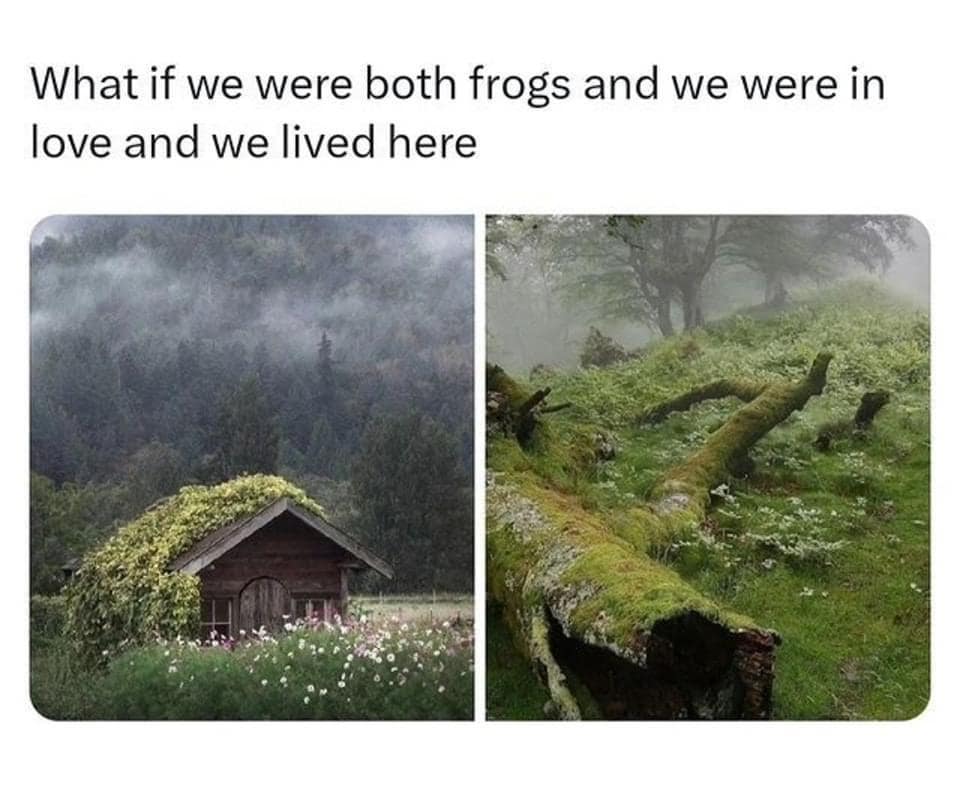 classic memes, vintage memes, viral tweets, Epic Tweets, Legendary Tweets, Funny Throwbacks, Hilarious Nostalgia, Amusing Internet History, Timeless Online Humor, Classic Internet Jokes, Iconic Meme References