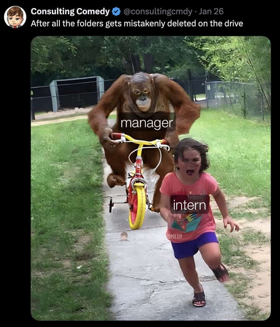 consulting memes, consultant memes, Consultant humor, Business culture satire, workplace satire, corporate culture humor, consulting jokes, funny consulting content