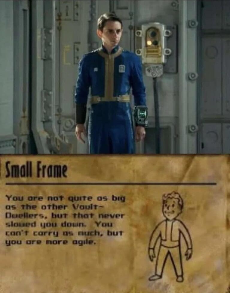 Fallout Memes: 30 Memes About The Show and Games
