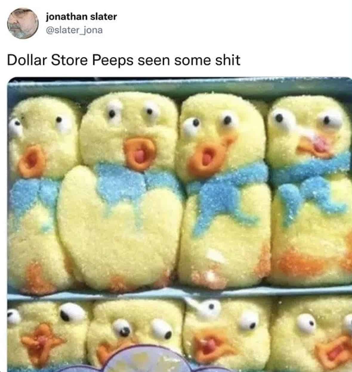 funny easter tweets, easter memes, Easter weekend humor, hilarious Easter social media posts, witty Easter jokes, Humorous Easter commentary, Easter Twitter trends, funny Easter memes